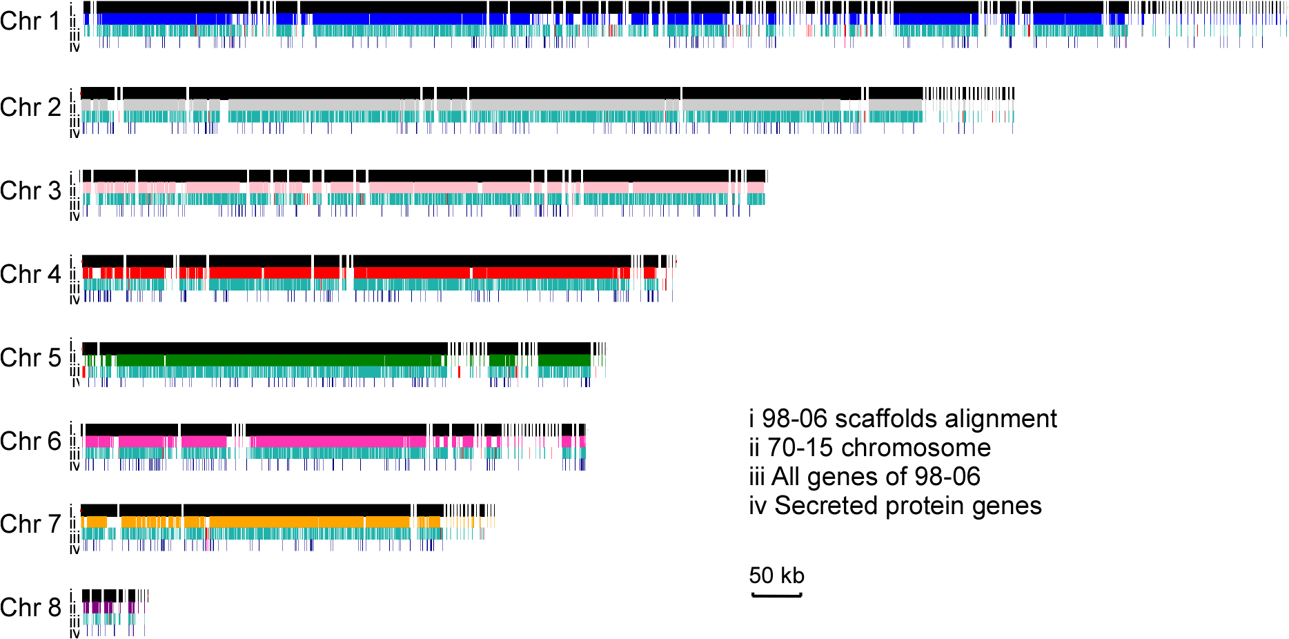 Fig 1.  Global view of synteny alignments between isolates 98–06 and 70–15.